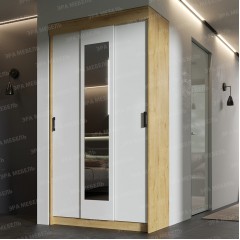 ЛДСП Шкаф-купе ЭКО Дуб Вотан-Белый гладкий
