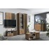 Шкаф комбинированный Либерти 51.02, Дуб Вотан, Черный