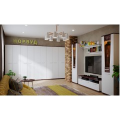 Шкаф для одежды Норвуд 12